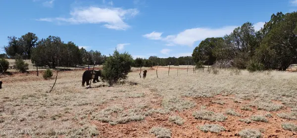 Lot 13 Ranch And Cattle, Ash Fork, AZ 86320