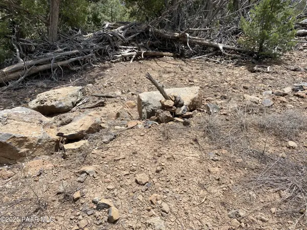 00 Shiloh RD, Seligman, AZ 86337