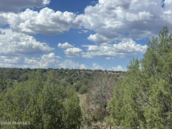29 Off Of An Un Named Road, Ash Fork, AZ 86320