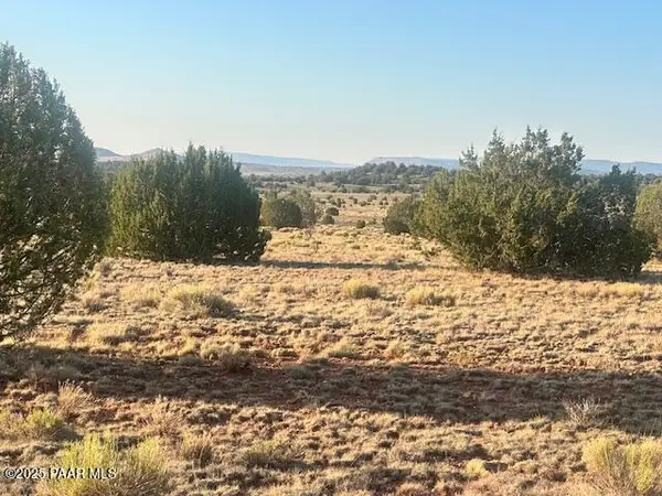 349ne Rocky Top RD, Seligman, AZ 86337