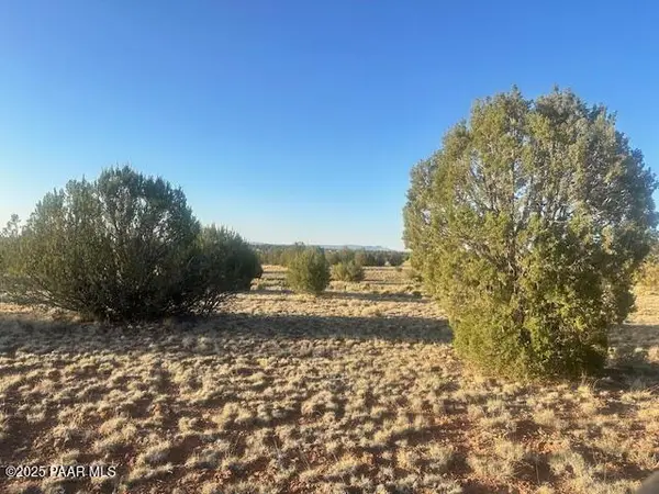 349ne Rocky Top RD, Seligman, AZ 86337