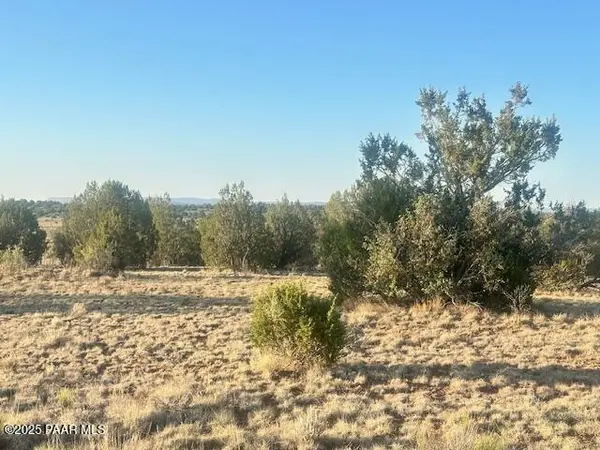 349ne Rocky Top RD, Seligman, AZ 86337