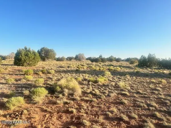 349ne Rocky Top RD, Seligman, AZ 86337