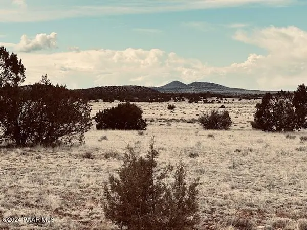 424nw Deliverance RD, Seligman, AZ 86337