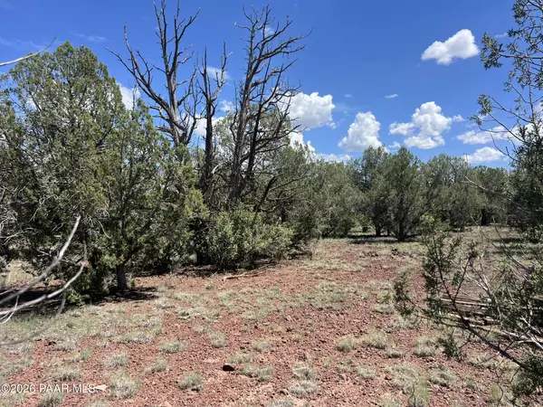4519 N Centerline BLVD, Ash Fork, AZ 86046