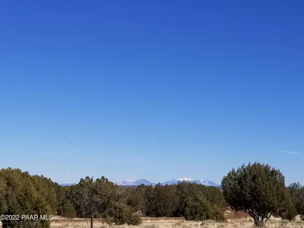 8368 Cortez Ranch RD, Seligman, AZ 86337