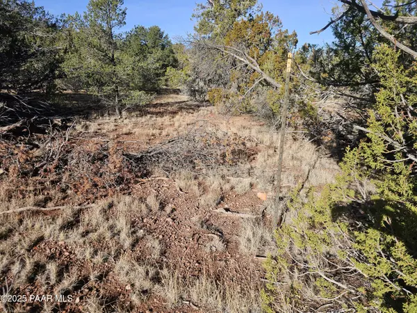 54892 N Potrero LN, Seligman, AZ 86337