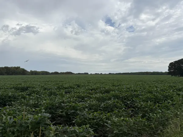 00 NE 130th, Cassoday, KS 66842