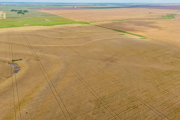 149+/- Acres SE Tri City Rd, Hazelton, KS 67061