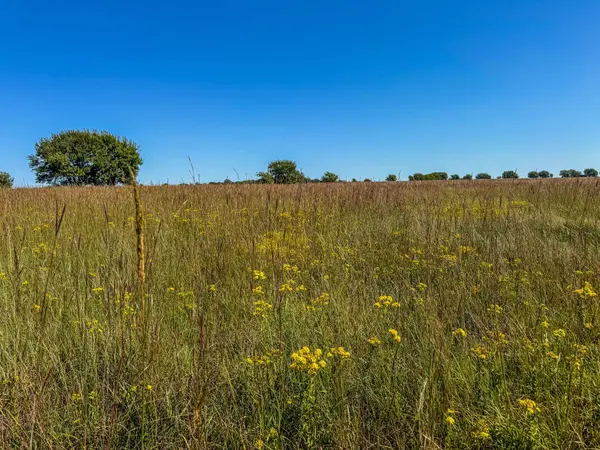 000 80TH ST, Florence, KS 66851