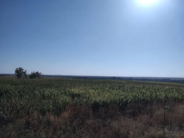 00000 E Wheat Dr., Sylvan Grove, KS 67481