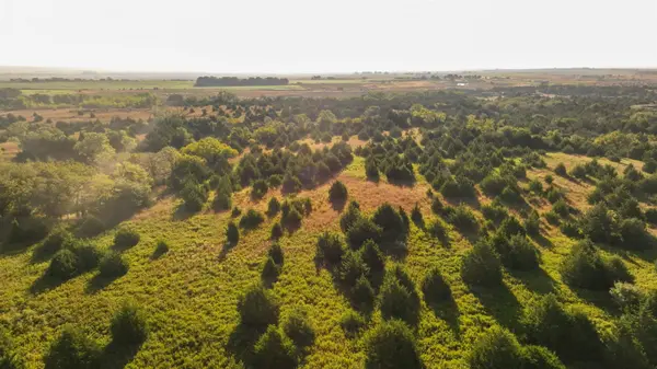 00 Blue Stem Rd, Sharon, KS 67138