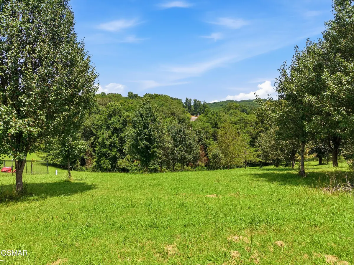 47 River Cliff Drive, Kodak, TN 37764
