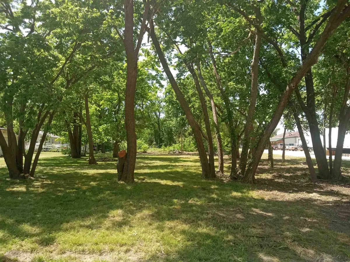 101 Walnut, Halstead, KS 67056