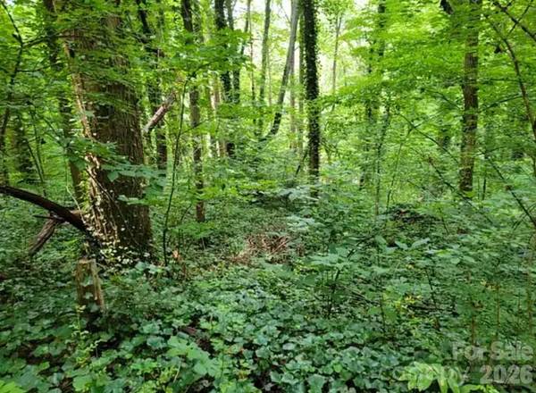 0 Rock Broad River RD #21, Hendersonville, NC 28792