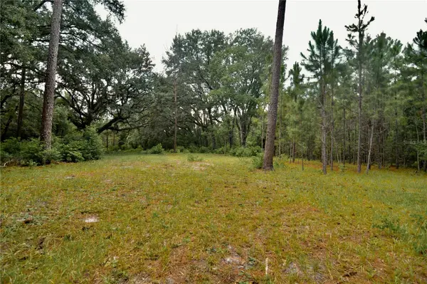 18709 NE US HIGHWAY 301, Waldo, FL 32694