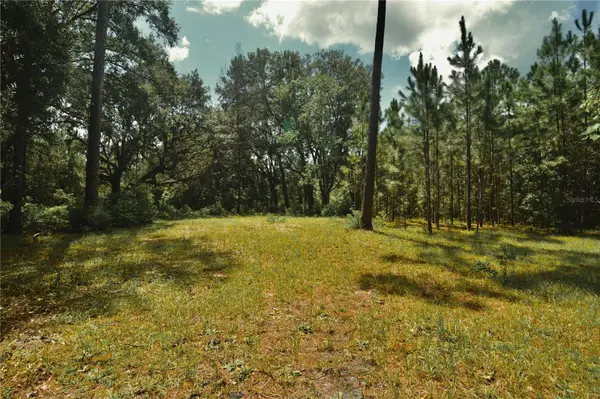 18709 NE US HIGHWAY 301, Waldo, FL 32694