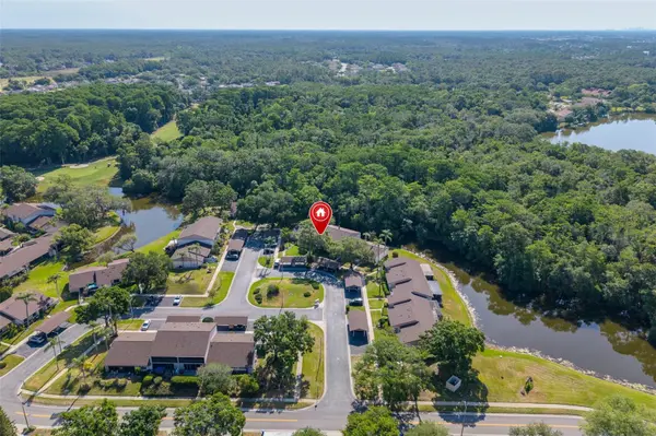 110 INGRID PL, Oldsmar, FL 34677