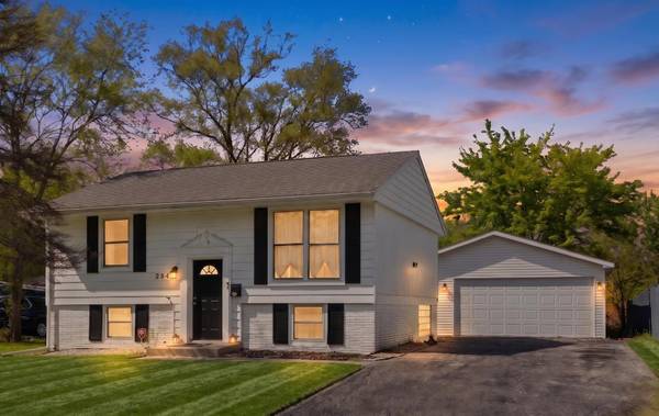 2941 225th PL, Sauk Village, IL 60411