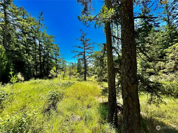 0 Salmonberry LN, Friday Harbor, WA 98250