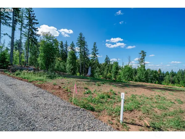 0 S Silver Lake Lot #1 RD, Castle Rock, WA 98611