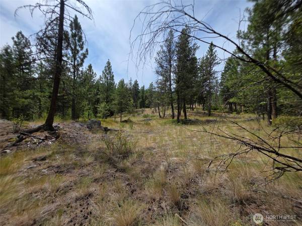 25 Outback RD, Oroville, WA 98844