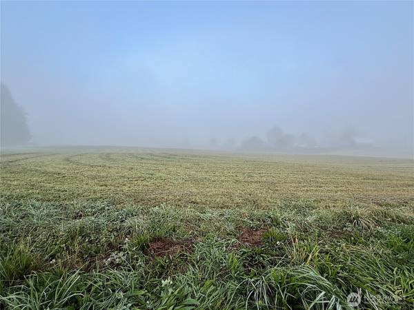 1 lot Fruitdale RD, Sedro Woolley, WA 98284