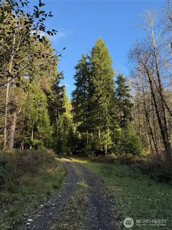 70 Dionne LN, Naselle, WA 98638
