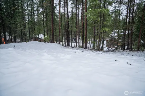 22124 Appaloosa LN, Leavenworth, WA 98826