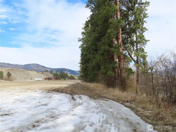 0 Lot 8 Highway 21 N, Danville, WA 99121