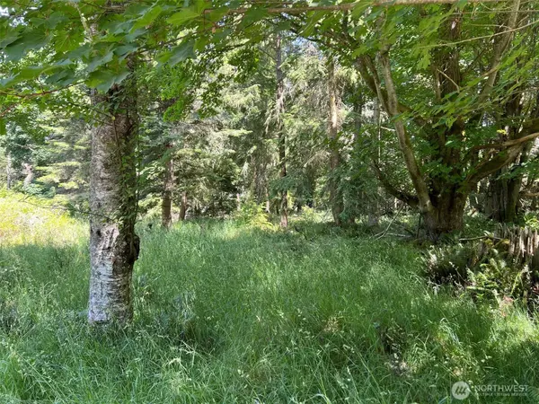 0 Davis Beach RD, Decatur Island, WA 98221