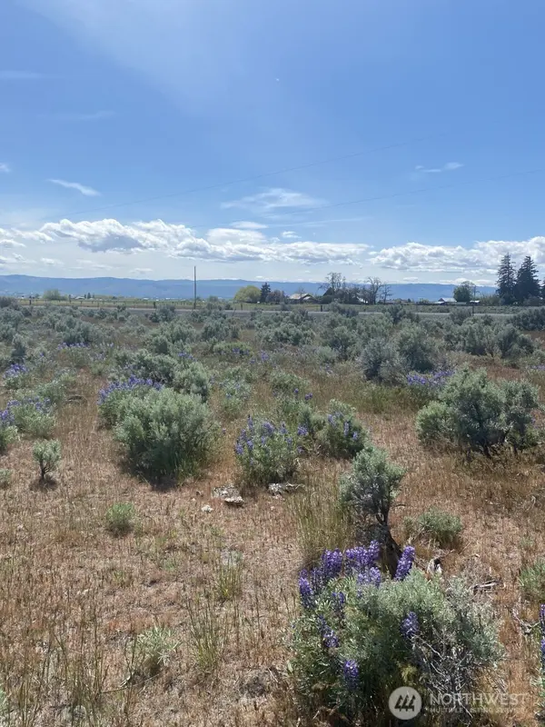 1160 Lester RD, Ellensburg, WA 98926