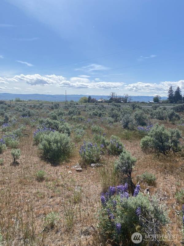 1160 Lester RD, Ellensburg, WA 98926