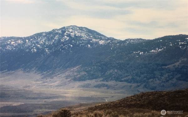 338 Palmer Mountain RD, Oroville, WA 98855