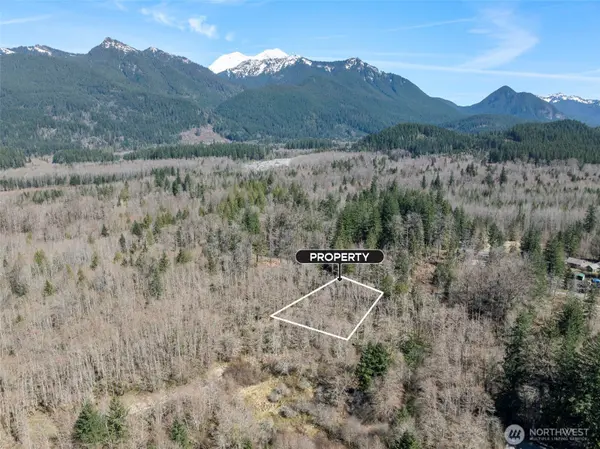 0 XX Fairway DR, Ashford, WA 98304