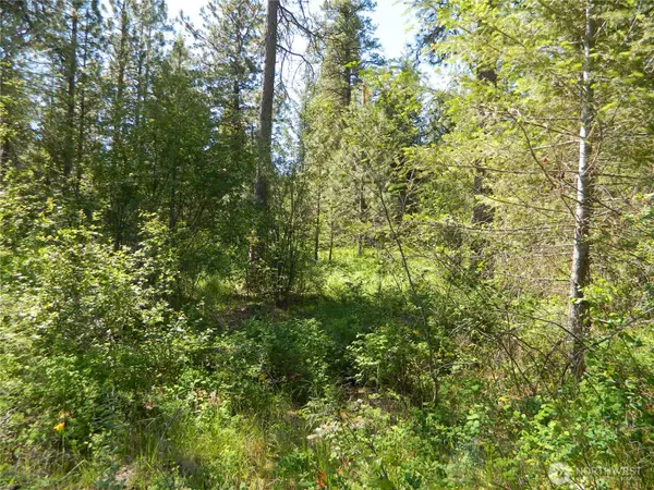 111 TBD Murphy Ranch RD, Tonasket, WA 98855