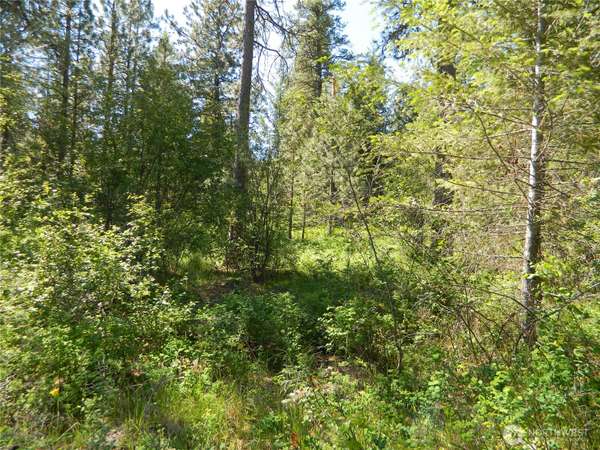 111 TBD Murphy Ranch RD, Tonasket, WA 98855