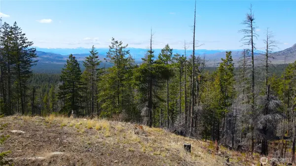 32 1 Twin Creeks Ranch, Riverside, WA 98849
