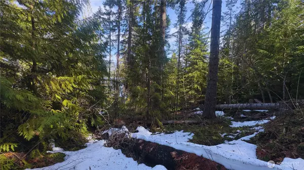 15839 Cedar Brae RD, Leavenworth, WA 98826