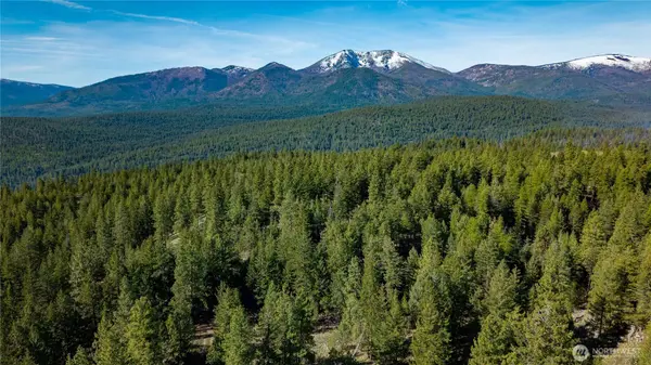 0 TBD Mineral Hill RD, Conconully, WA 98819
