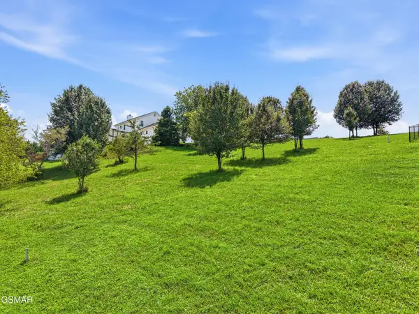 47 River Cliff Drive, Kodak, TN 37764