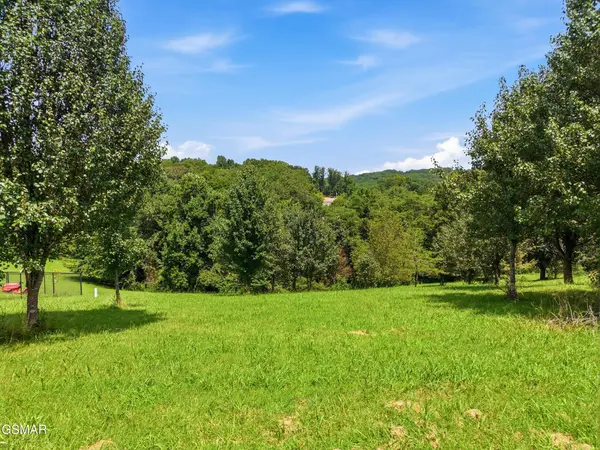 47 River Cliff Drive, Kodak, TN 37764