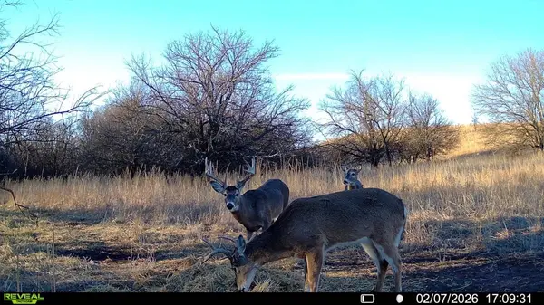 000 92ND RD, Burden, KS 67019