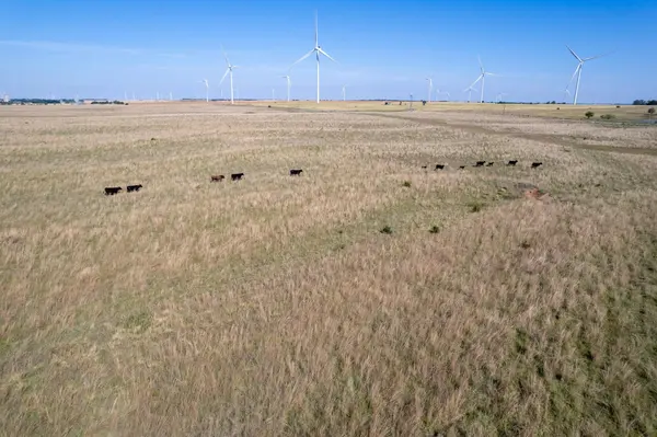 0000 NE 160 Rd, Harper, KS 67058