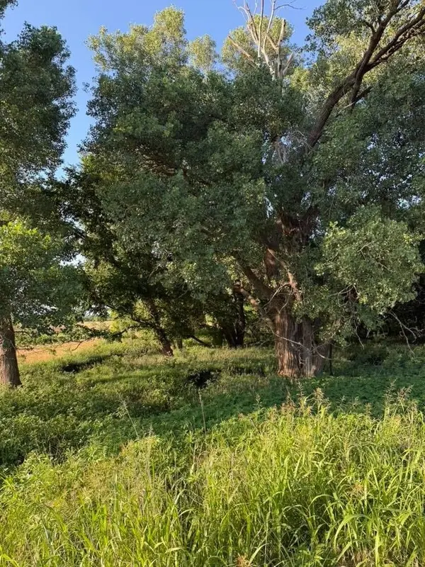 0 SE 170th St, Spivey, KS 67142