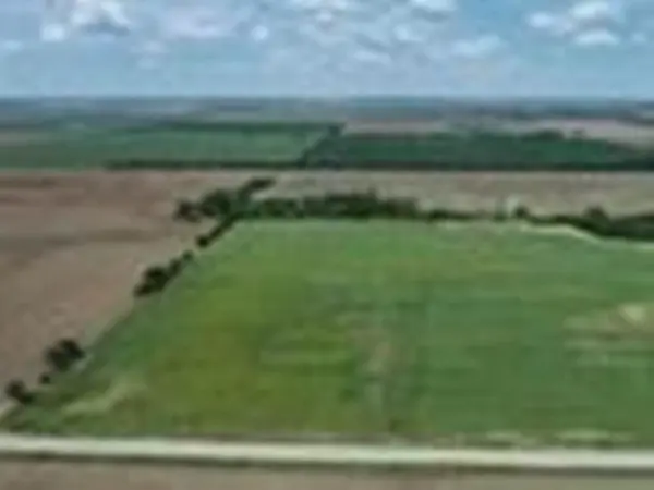 7 +/- Acres on 263rd St, Viola, KS 67149