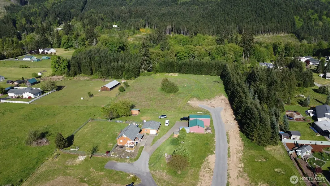 110 Dryad LN, Castle Rock, WA 98611