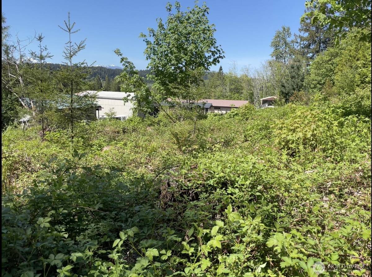 0 LOT State Route 3, Belfair, WA 98528