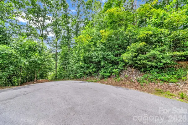 30 Pinners Cove RD, Asheville, NC 28803