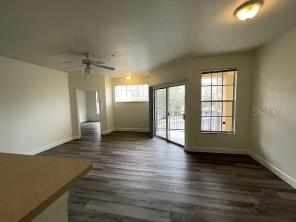 5125 PALM SPRINGS BLVD #11203, Tampa, FL 33647